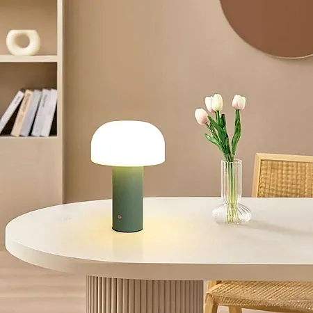 ΕΠΙΤΡΑΠΕΖΙΟ ΕΠΑΝΑΦΟΡΤΙΖΟΜΕΝΟ ΦΩΤΙΣΤΙΚΟ LED CCT